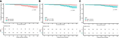 Assessment of new-onset heart failure prediction in a diabetic population using left ventricular global strain: a prospective cohort study based on UK Biobank